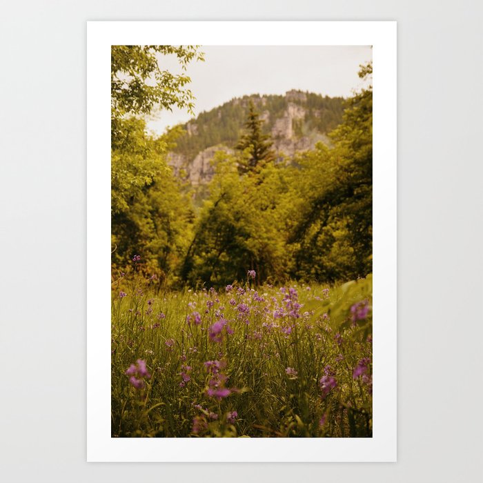 Summer in Spearfish Canyon Art Print