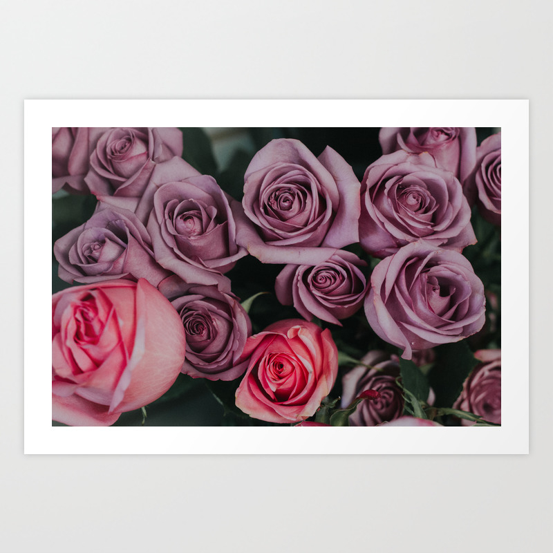Purple Roses Art Print By Newburydesigns Society6