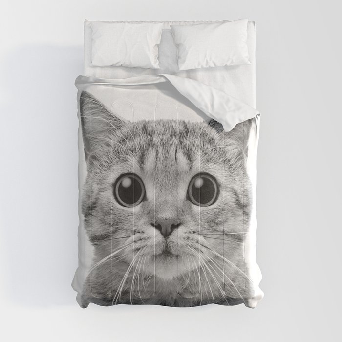 Cute Kitten Portrait - Comforter