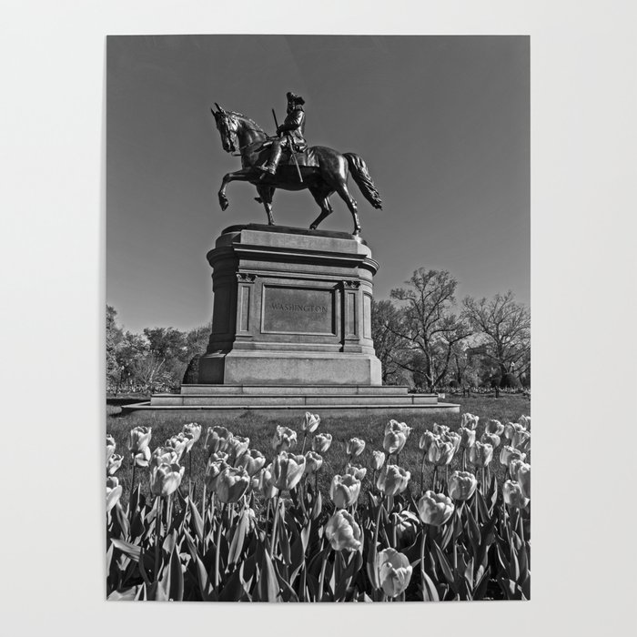 Boston Public Garden George Washington Statue with Tulips in the Spring Black and White Poster