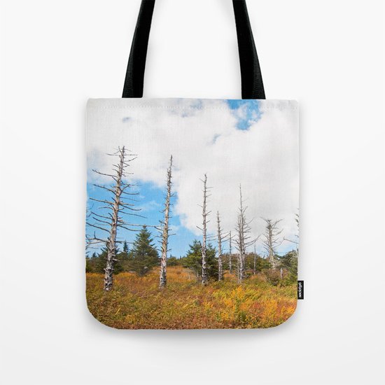 Trees in Mt. Rogers, Virginia Tote Bag