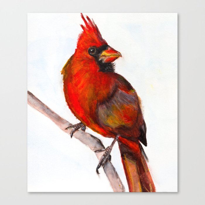 Cardinal Canvas Print