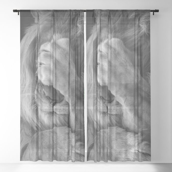 Sheer Curtain