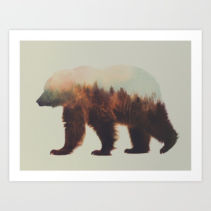 Norwegian Woods The Brown Bear Art Print By Andreaslie