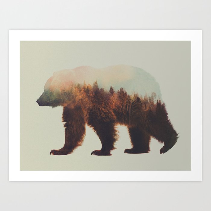 Norwegian Woods: The Brown Bear Art Print