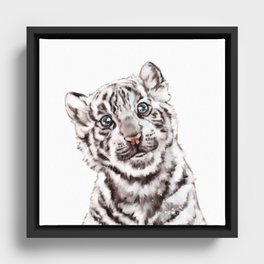 Baby White Tiger Framed Canvas