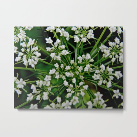 Falling Into Flowers Metal Print