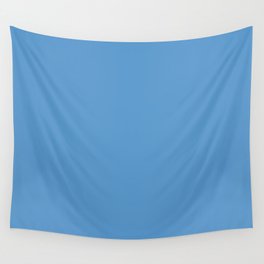 Medium Blue Solid Color Pairs Pantone All Aboard 17-4140 TCX Wall Tapestry
