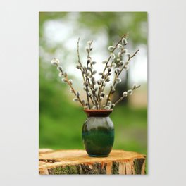 Closeup of spring pussy willow catkins branches /twigs bouquet in a green vase outdoors Canvas Print