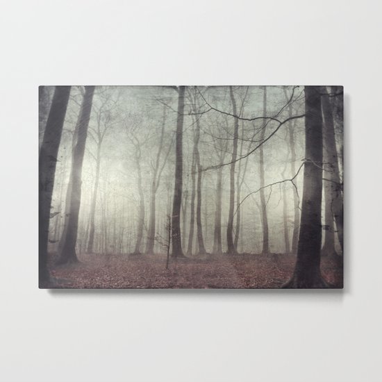 mood scape - mist woodlands Metal Print
