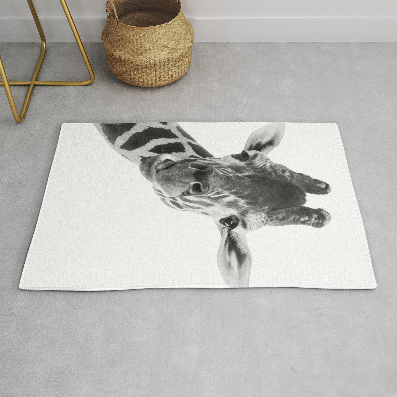 Giraffe Portrait Grey Wild Animal Cute Zoo Safari Madagascar Grey Wild Animal Cute Zoo Safari