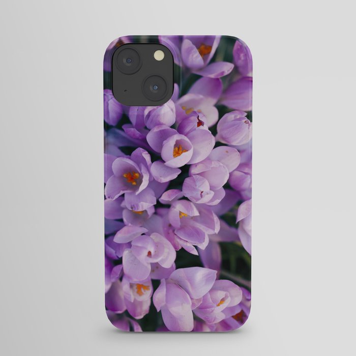 Spring Blossom II iPhone Case