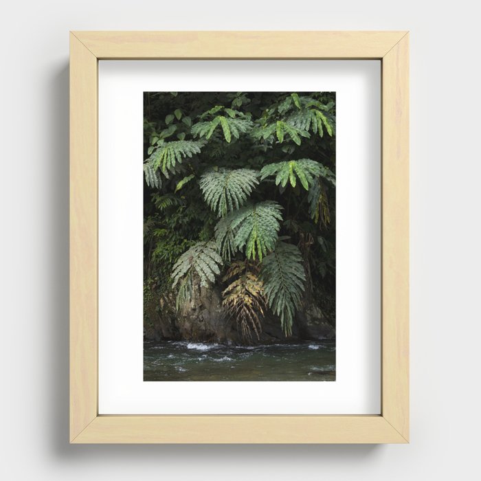Mysterious leaves, in the lush jungles of Sumatra, Indonesia Recessed Framed Print