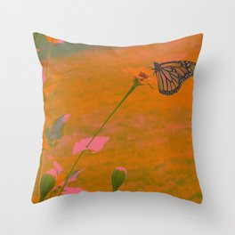 Orange Monarch Butterfly Throw Pillow