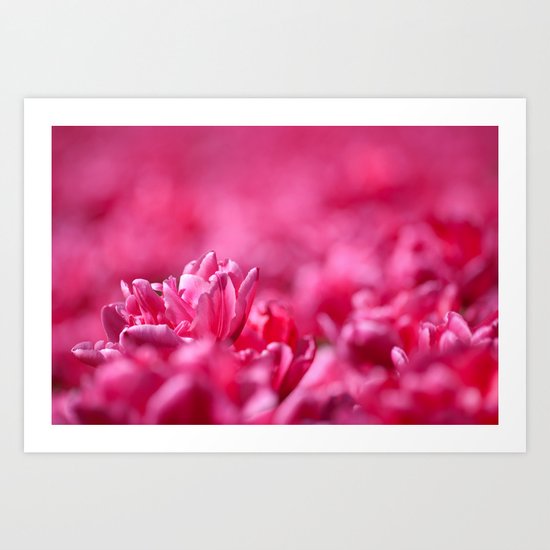 Flowers Art Print