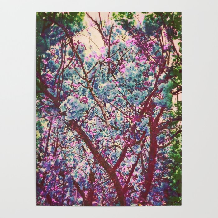 Dogwood Mixed Tones in Pastel Poster