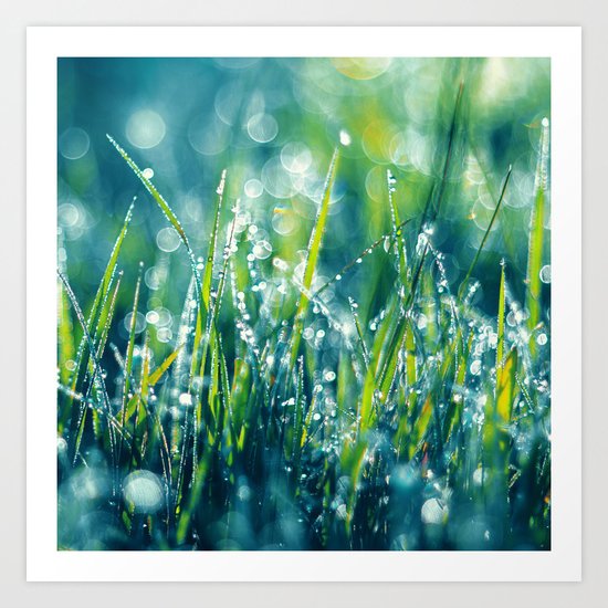 Morning Diamonds Art Print