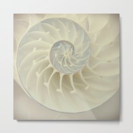 Nautilus Shell Metal Print | Nature, Abstract, Photo, Digital, Color, Love 