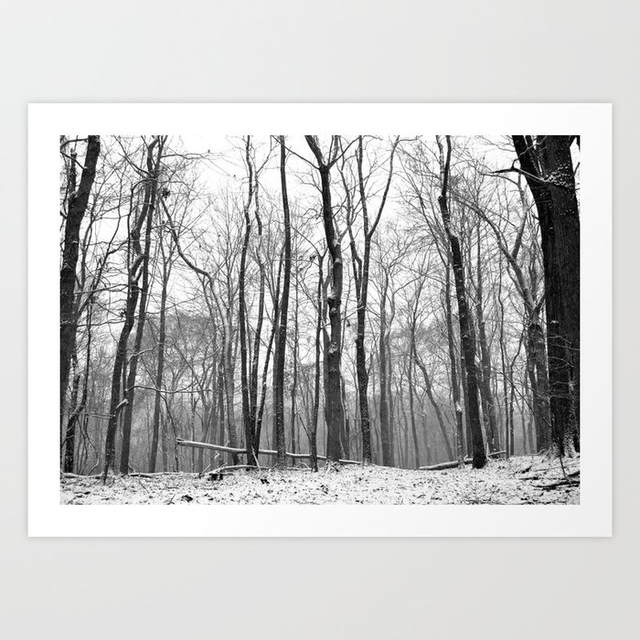 Winter Snow Black and White Art Print