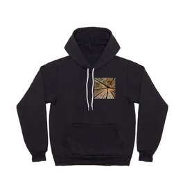 Cross-section Old Pine Tree Trunk Organic Wood Texture Hoody