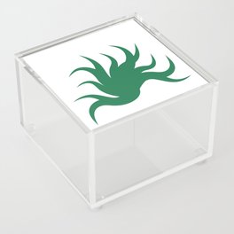 green forest Acrylic Box