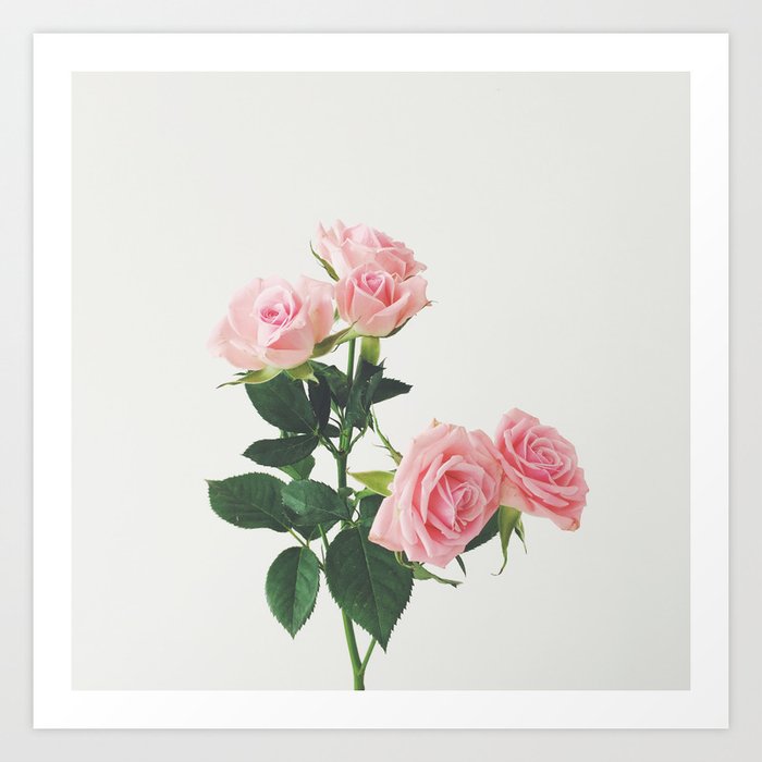 Spring Roses Art Print