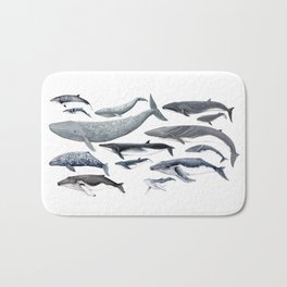 Whale diversity Bath Mat | Black and White, Cetacean, Nature, Whalelover, Humpbackwhale, Illustration, Whalespecies, Animal, Whaledesign, Whalelovers 