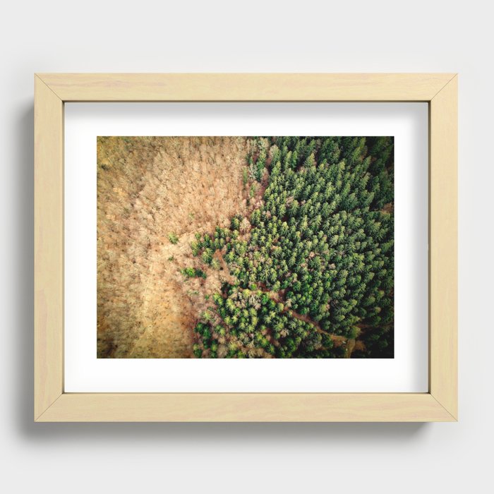 Aerial view of spruce forest landscape Recessed Framed Print