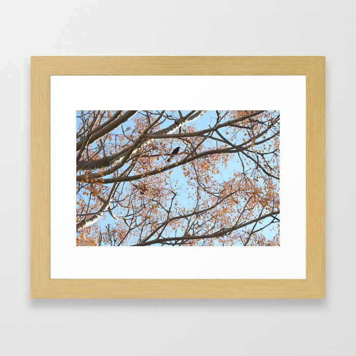 Rowan tree branches with berries and bird Framed Art Print