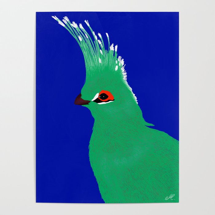 Turako blue and green Poster
