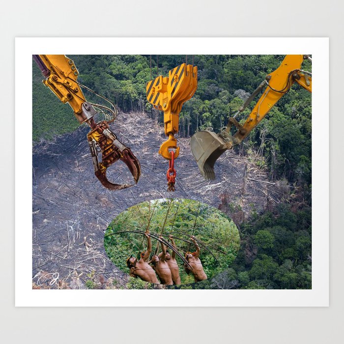 Floresta Amazonica Deforestation Collage Art Amazon Rainforest