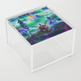 Aurora creatures Acrylic Box