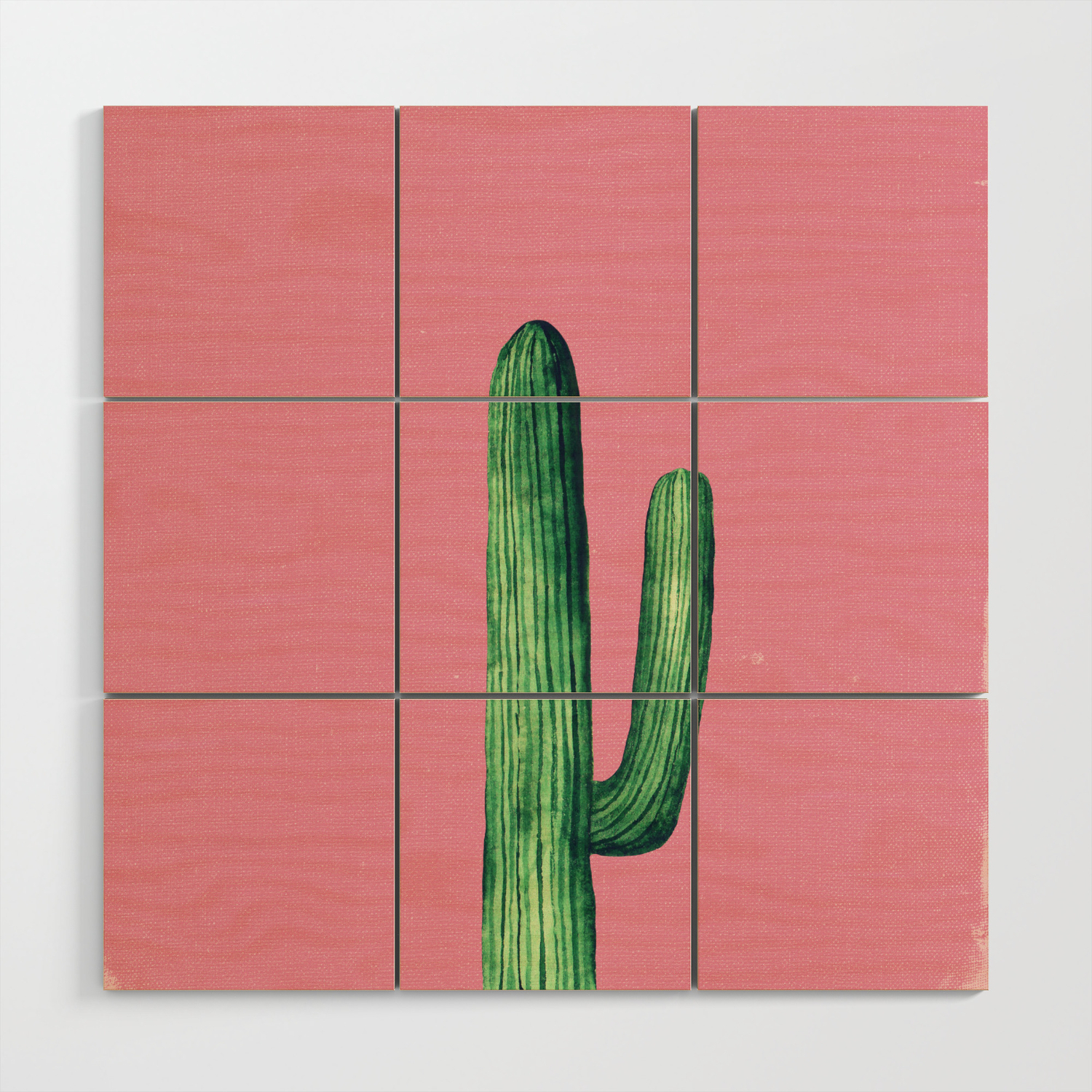 Plants On Pink Green Cactus Art Modern Botanical Illustration