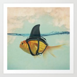 Goldfish with a Shark Fin Art Print