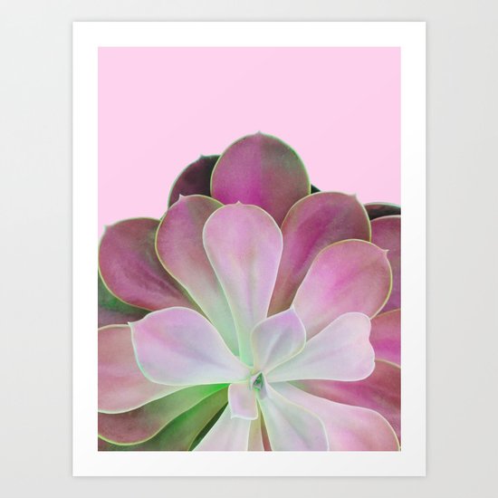 Acid Green and Pink Echeveria Art Print
