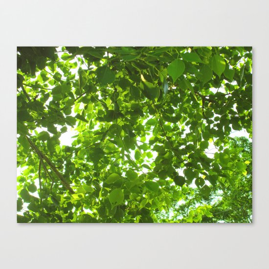 Green #Nature Canvas Print