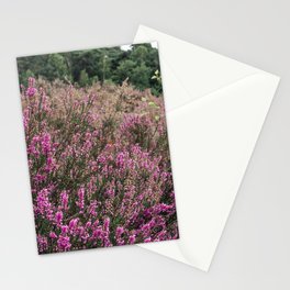 Dutch Heather field - Nature in the Netherlands - Posbank, Veluwe - Purple flower image Stationery Card