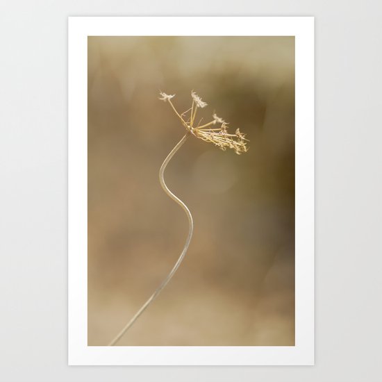 Natural curves Art Print