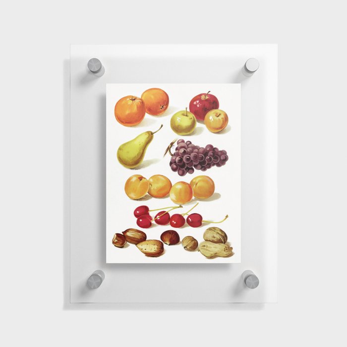 Vintage Fruit and Nut Artwork from Our Little Book for Little Folks Floating Acrylic Print