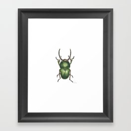 Unstoppable Green Beetle Framed Art Print