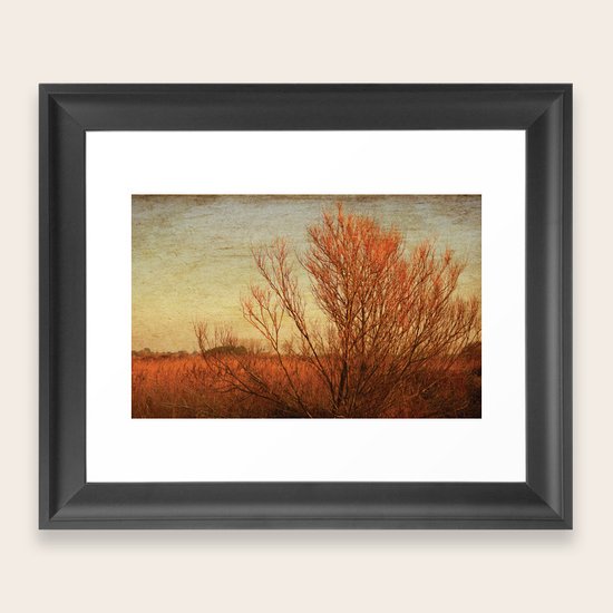 Autumn Framed Art Print