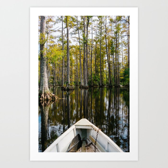 Charleston Cypress Gardens Boat II Art Print