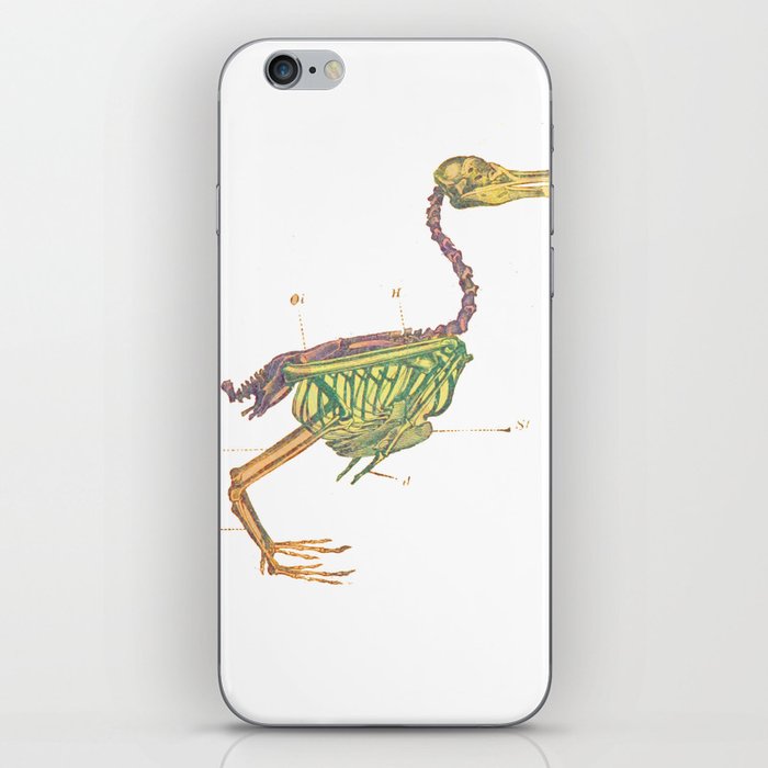 Dodo Bird iPhone Skin