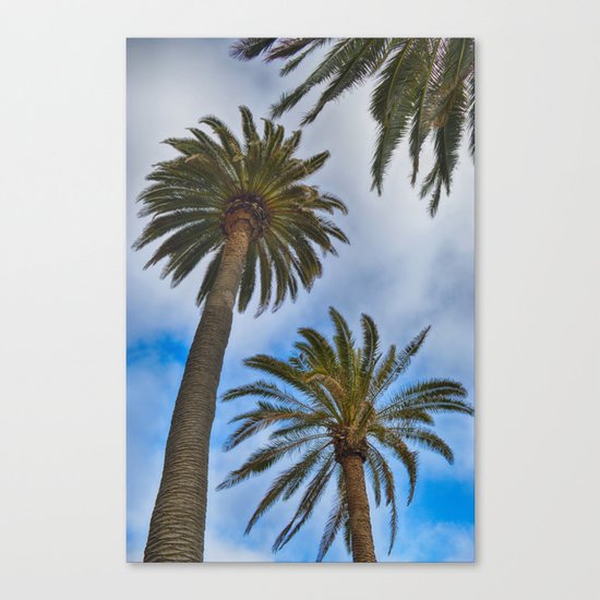 Palms Canvas Print