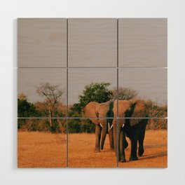 elephants during sunset Wood Wall Art