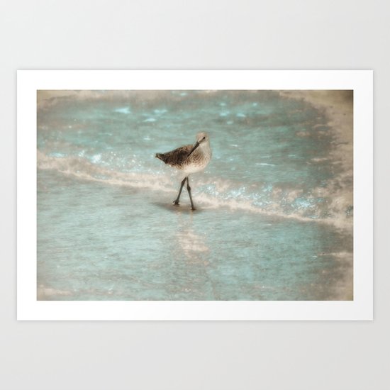 Bird Walking On The Beach Art Print
