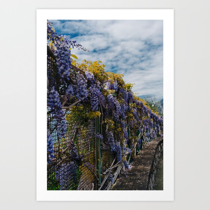 Amalfi Coast Blooms III Art Print