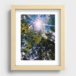 Sun Through the Trees Recessed Framed Print