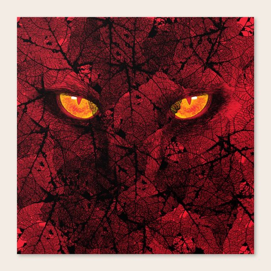 Secrecy Canvas Print