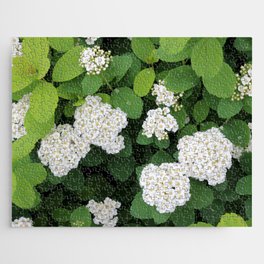 Spirea Flowering Bush Jigsaw Puzzle
